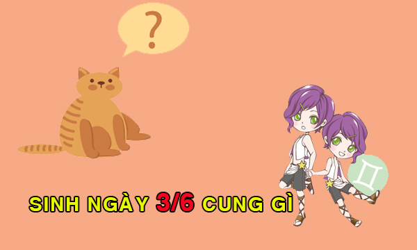 Tìm hiểu ngày 3/6 cung gì