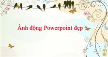 Hình ảnh động PowerPoint đẹp, gif PowerPoint cute nhất