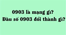0903 là mạng gì? Đầu số 0903 đổi thành gì?