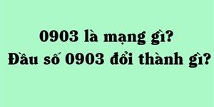 0903 là mạng gì? Đầu số 0903 đổi thành gì?