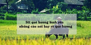 Stt quê hương bình yên, những câu nói hay về quê hương