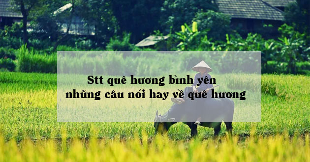 Stt và những câu nói hay về quê hương