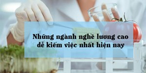 Những ngành nghề lương cao dễ kiếm việc nhất hiện nay