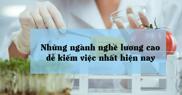 Các ngành nghề lương cao hiện nay Các ngành nghề lương cao hiện nay