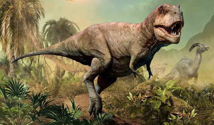 Ảnh khủng long Ảnh khủng long