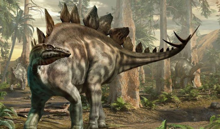 Ảnh khủng long Ảnh khủng long
