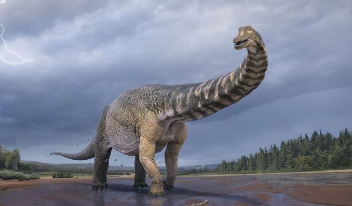 Ảnh khủng long Ảnh khủng long