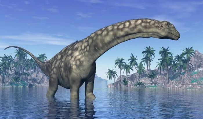 Ảnh khủng long Ảnh khủng long