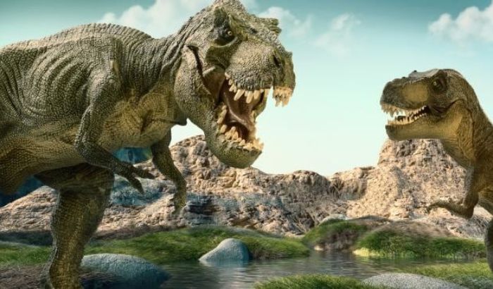 Ảnh khủng long Ảnh khủng long