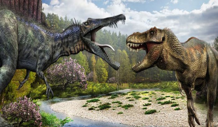 Ảnh khủng long Ảnh khủng long
