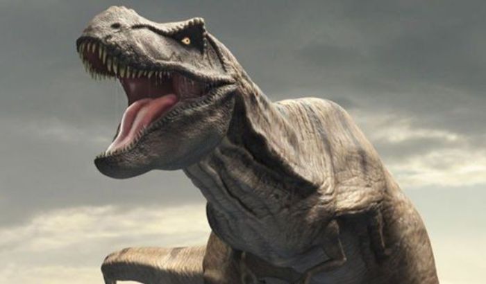 Ảnh khủng long Ảnh khủng long