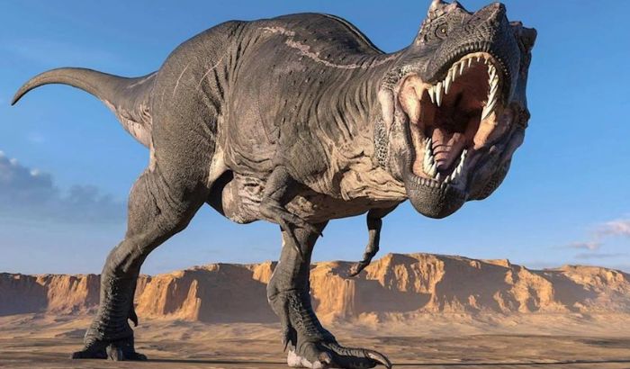 Ảnh khủng long Ảnh khủng long