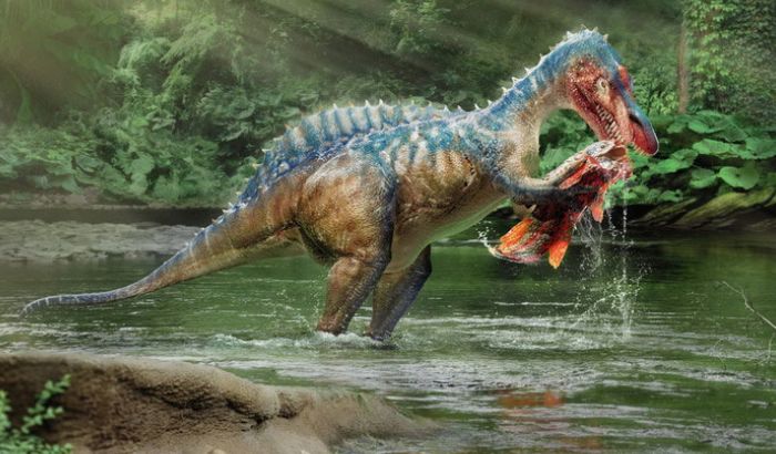 Ảnh khủng long Ảnh khủng long