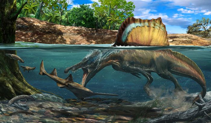 Ảnh khủng long Ảnh khủng long