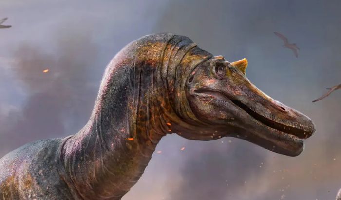 Ảnh khủng long Ảnh khủng long