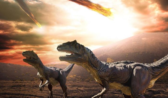 Ảnh khủng long Ảnh khủng long