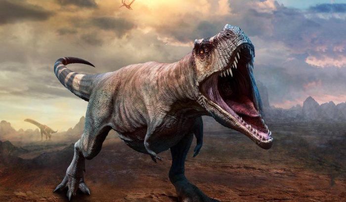 Ảnh khủng long Ảnh khủng long