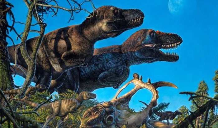 Ảnh khủng long Ảnh khủng long