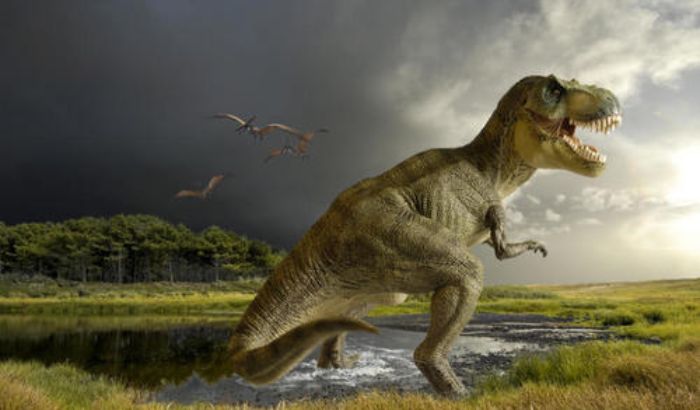 Ảnh khủng long Ảnh khủng long