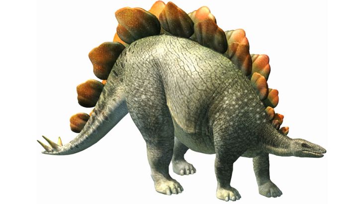 Ảnh khủng long Ảnh khủng long