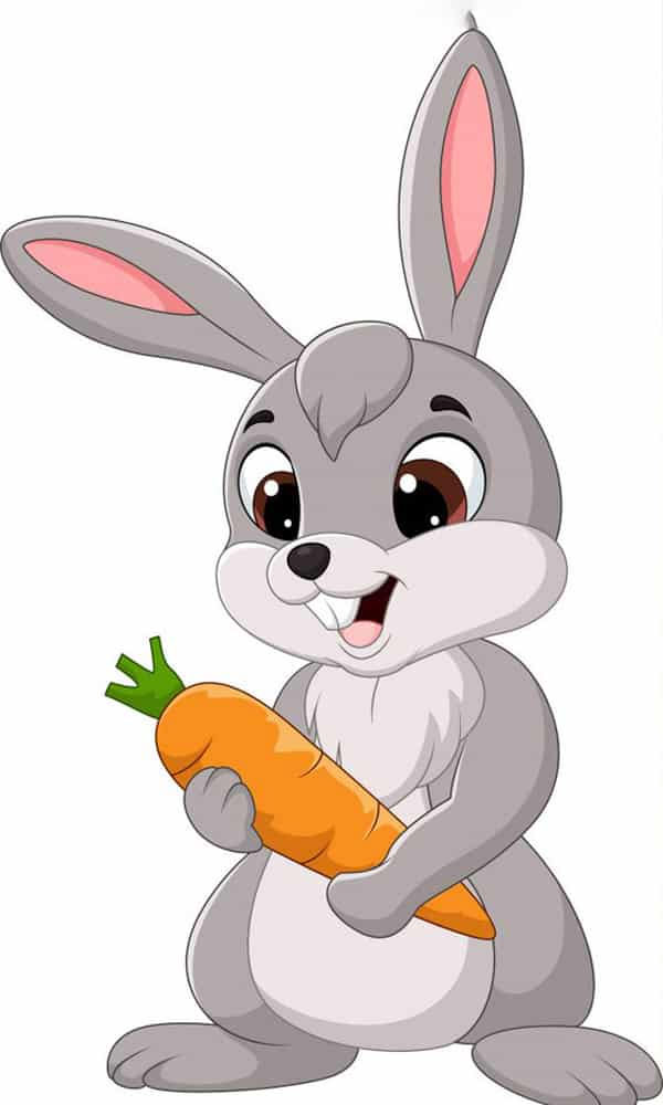 Hình nền thỏ cute, hình thỏ hoạt hình  Hình nền thỏ cute, hình thỏ hoạt hình