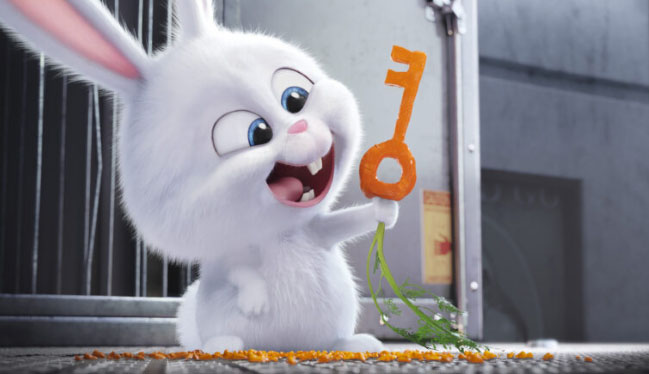 Hình nền thỏ cute, hình thỏ hoạt hình  Hình nền thỏ cute, hình thỏ hoạt hình