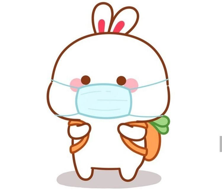 Hình thỏ cute anime Hình thỏ cute anime