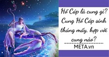 Hổ Cáp là cung gì? Cung Hổ Cáp sinh tháng mấy, hợp với cung nào?