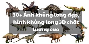 30+ Ảnh khủng long đẹp, hình khủng long 3D chất lượng cao