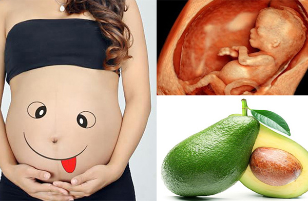 Tìm hiểu bà bầu nên ăn bơ vào lúc nào cho tốt Tìm hiểu bà bầu nên ăn bơ vào lúc nào cho tốt