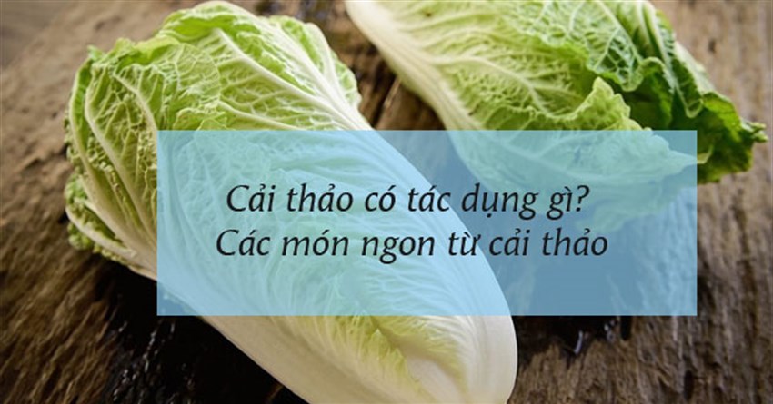 Cải thảo có tác dụng gì? Các món ngon từ cải thảo