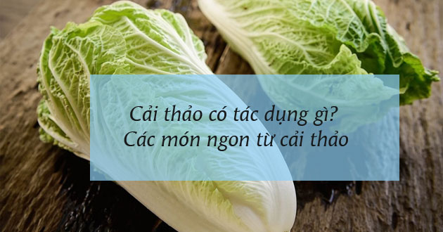 Cải thảo là cải gì