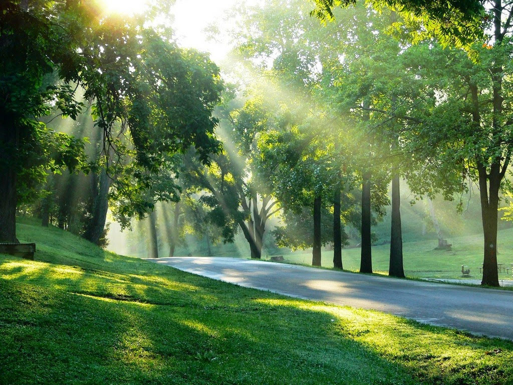 Lời chúc thứ 4 vui vẻ