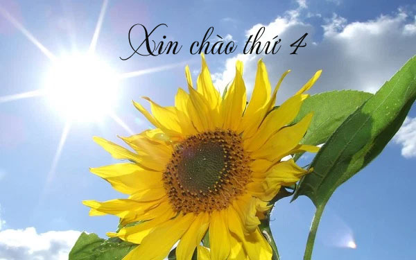 Hình ảnh chào ngày mới thứ 4