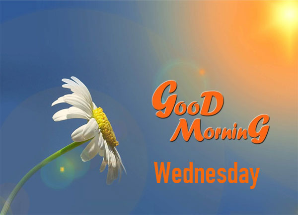 Hình ảnh chào ngày mới thứ 4