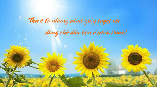Hình ảnh chào ngày mới thứ 4
