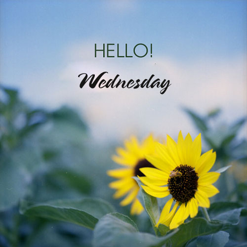 Hình ảnh chào ngày mới thứ 4