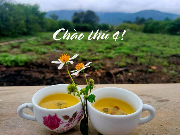 Hình ảnh chào ngày mới thứ 4