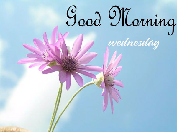 Hình ảnh chào ngày mới thứ 4