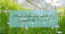 Hình ảnh chào ngày mới thứ 4, lời chúc thứ 4 vui vẻ