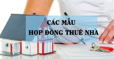 3 Mẫu hợp đồng thuê nhà đơn giản, ngắn gọn nhất 2025