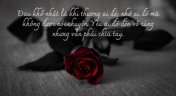 Stt viết cho bạn đã mất