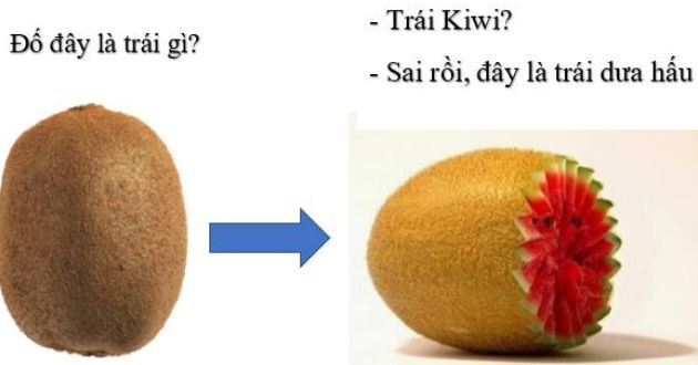 Câu đố về quả