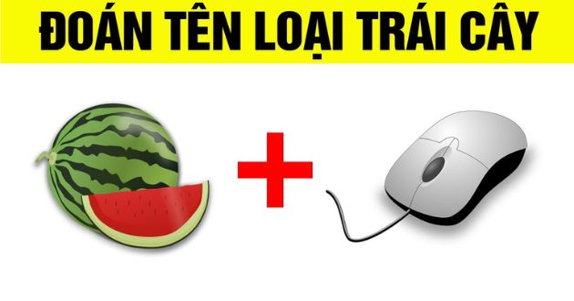 Câu đố về quả