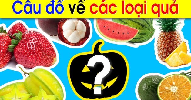 Câu đố về quả