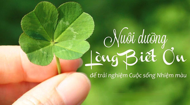 Những câu nói về lòng biết ơn Những câu nói về lòng biết ơn