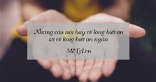 Những câu nói hay về lòng biết ơn, stt về lòng biết ơn ngắn