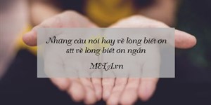 Những câu nói hay về lòng biết ơn, stt về lòng biết ơn ngắn