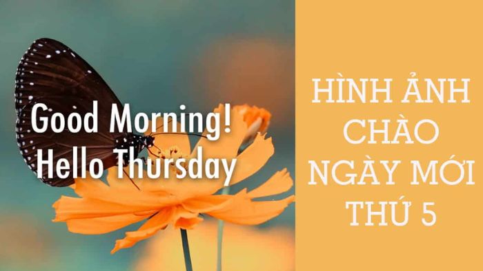 Thứ 5 vui vẻ