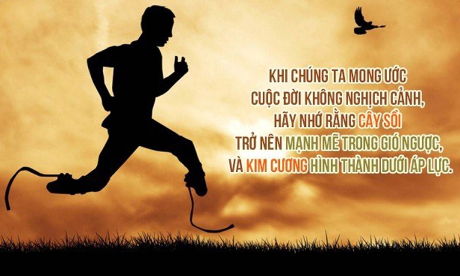 Hình ảnh nỗ lực cố gắng 4 Hình ảnh nỗ lực cố gắng 4